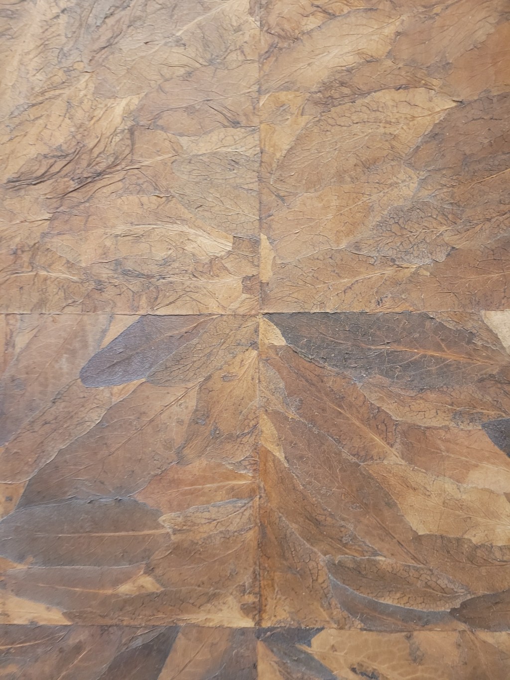 Marinette Cueco : de l’herbier au&nbsp;monochrome