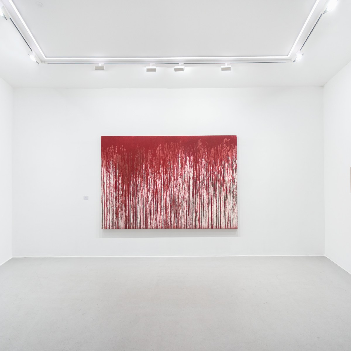 Birth of Light : Hermann Nitsch et le corps&nbsp;transfiguré